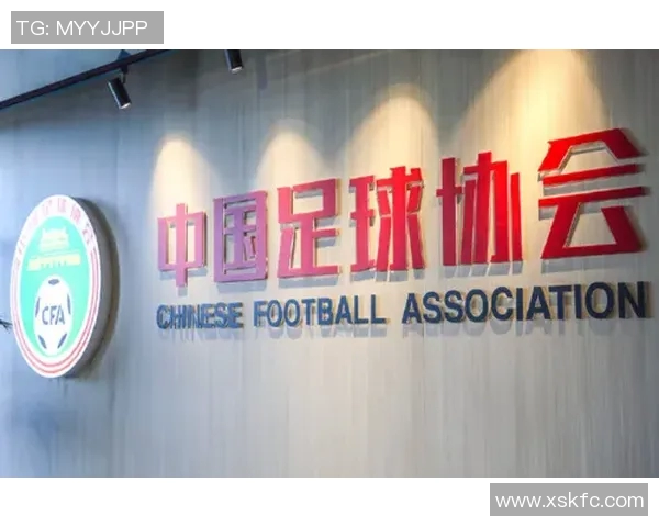 重庆足球协会助力地方足球发展推动青少年培养与职业联赛融合新局面 重庆足球协会助力地方足球发展推动青少年培养与职业联赛融合新局面