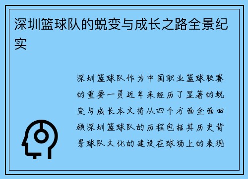 深圳篮球队的蜕变与成长之路全景纪实